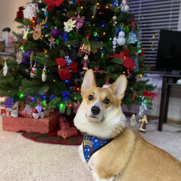 LIKE FOR SALE UPDATES!! - Picture 3 of 3